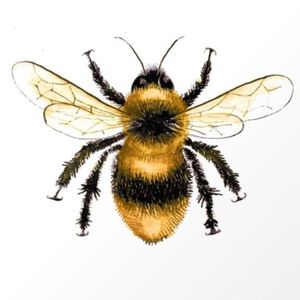 Meet your Posher, Honey